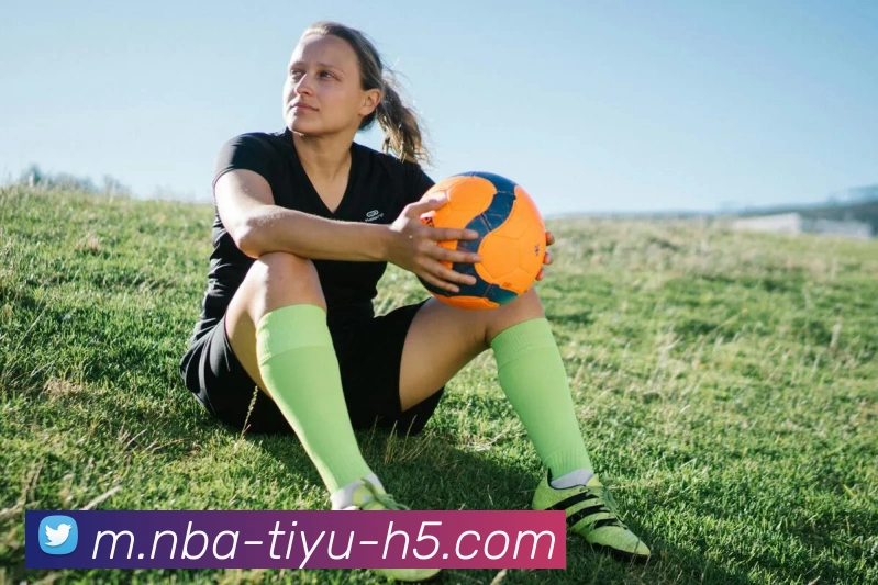 篮球赌注平台生态图